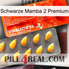 Black Mamba 2 Premium new01